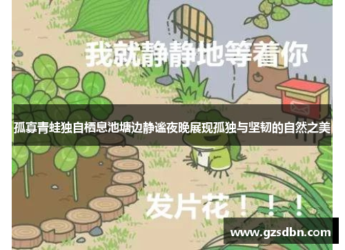 孤寡青蛙独自栖息池塘边静谧夜晚展现孤独与坚韧的自然之美 孤寡青蛙独自栖息池塘边静谧夜晚展现孤独与坚韧的自然之美